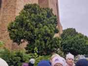 462549770_1601552413792433_7586461147260432076_n