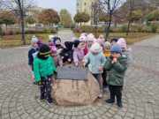 462551715_535300796017546_4409347243918477457_n