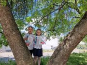 280280351_546515860248630_1814617927921672295_n