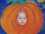 386894883_894889375335954_1204588767823444323_n