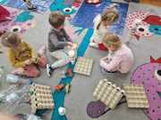 429102759_1455318725404096_8371523089225740183_n