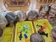 476309708_1052663363360920_8592044705817473543_n