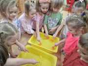 483469776_1195164542258628_2555871492048858581_n