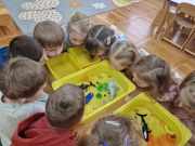 483859246_657226336761763_5245928473038115760_n