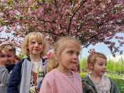 438209069_1133252097870840_1845084713095173266_n