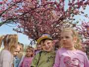 438221183_1036721928091870_2095167943853669248_n