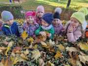 462537918_1319174096160235_5394414798765760333_n