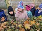 375017974_1255180235174108_871902810320331263_n