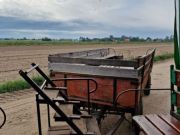 310798152_5813676168676429_8152887013419589293_n