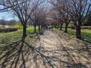 485829616_716561290700836_5287816171645633798_n