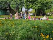 438171766_447442244347050_3919491155221516062_n