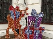 263357946_864425840890538_4686338627025207089_n