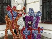 263360584_403254208166191_7012743384813867557_n