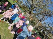 279530805_294326916224535_3633396830977896894_n