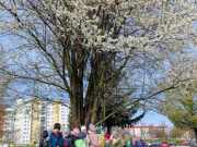 433527299_401090756044226_7754353747468441162_n