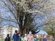 433576911_837325405059127_3407354974101026198_n