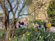 433984163_756470836577622_1972642641490735518_n