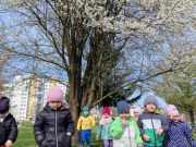 434057347_847998254021585_2212194769067767810_n