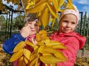 462261415_928140342683572_8267299464896407519_n